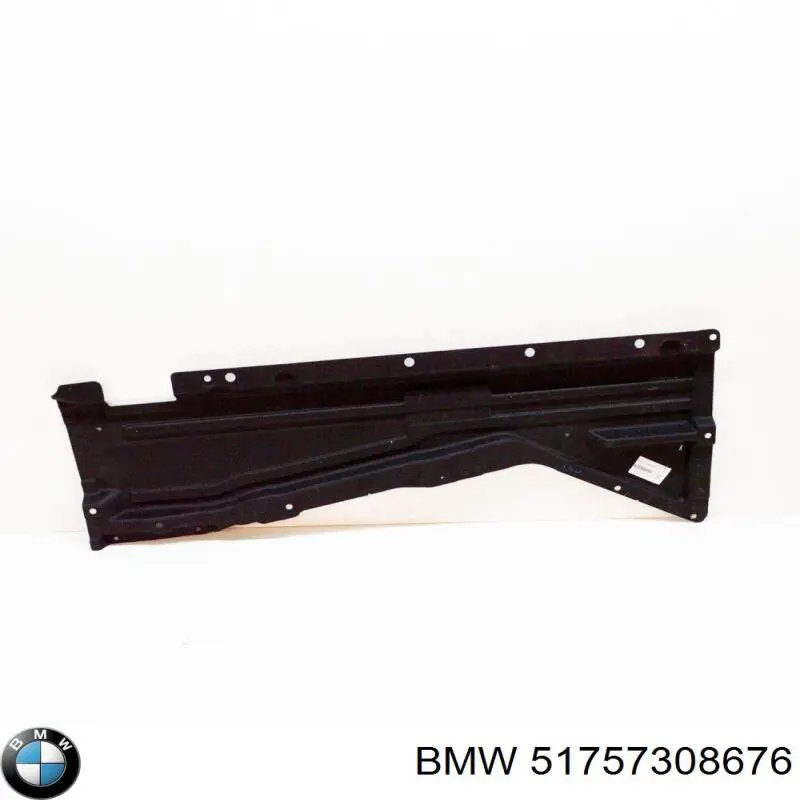 BMW 51757308676
